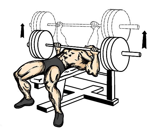 Bench press with 100kg weights new arrivals